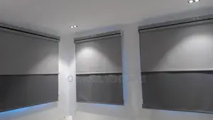 Dual Shades Sunscreen and Blackout Roller Blinds