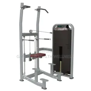 Weight Assisted Chin+ Dip Dft1609