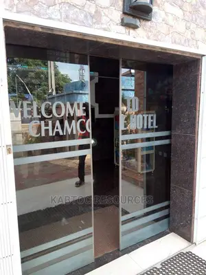 Frameless Glass Doors