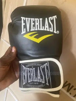 Everlast Boxing Glove Size 12