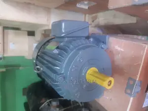 Electric Motor Viking Make,Pure Copper Wire Motor