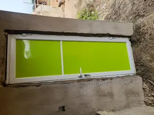 Aluminium Toilet Door