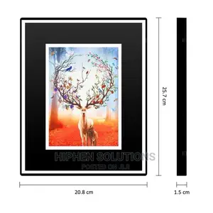 High Performance Pictures Frame Camera