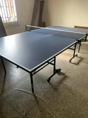 Table Tennis Board (Indoor)