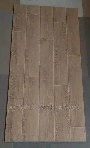 New Arrivals Tiles 60*60