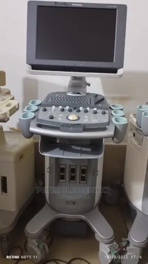 Siemens Acuson X300 (3d/4d)