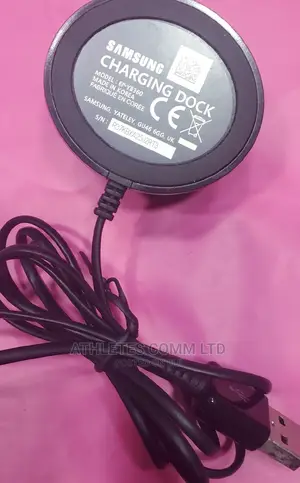 Samsung Fit 2 Pro Charger