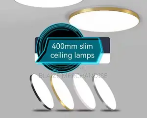 Ceiling Fitting Led