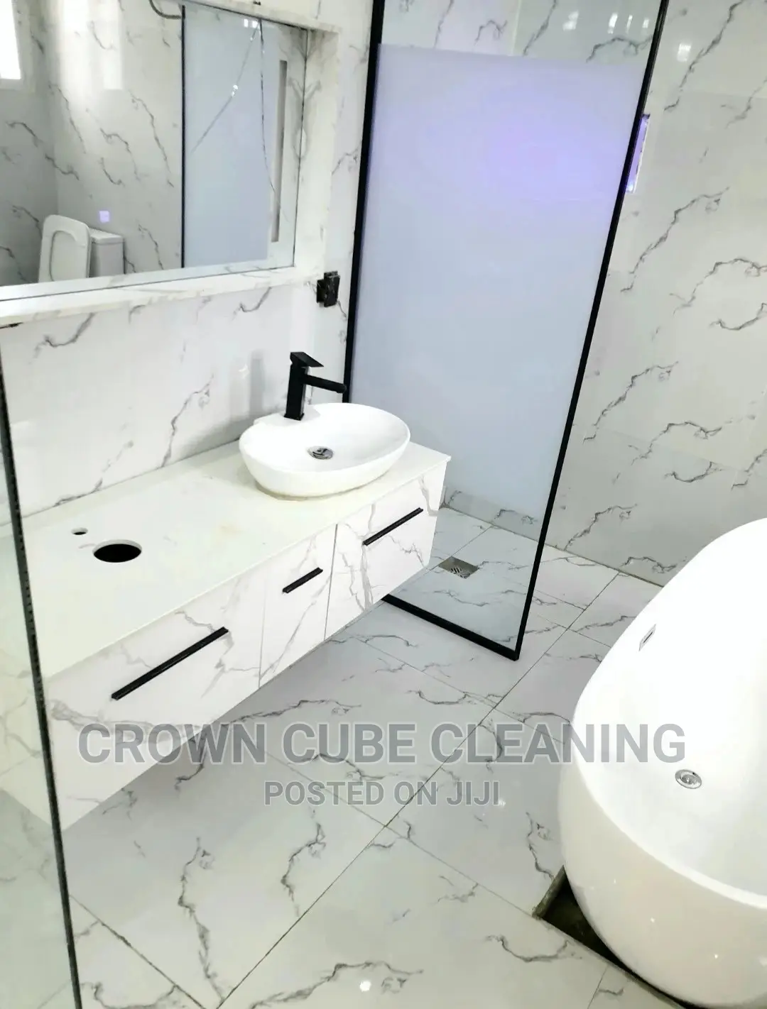 Professional Cleaning Services