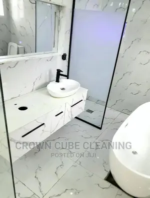 Professional Cleaning Services