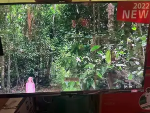LG 32 Inches Flameless Television