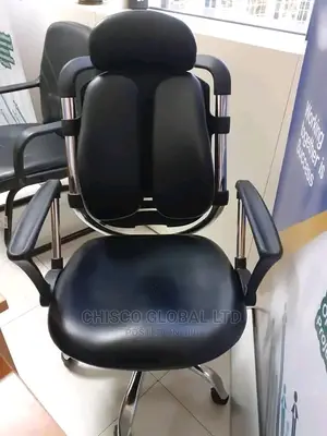 Office Chair (Orthopedic)