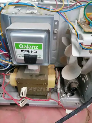 Microwave Repair