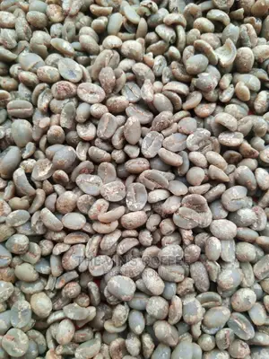 The Vin's Green Arabica Coffee