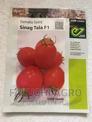 Hybrid Tomato Seeds Available