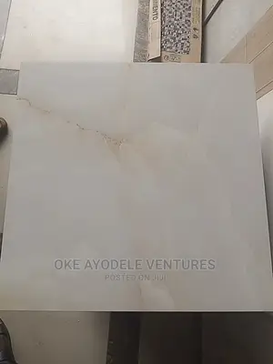 Virony Super Polished Tiles 66SP005 (60/60)