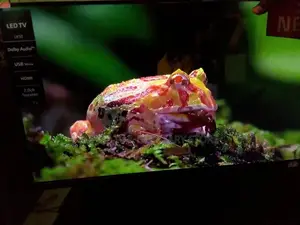 Original 32" Inches LG LED TV