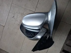 Kia Sedona 04 Side Mirror