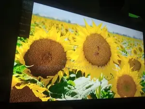 Original Brand New High Quality 43 Inches Lg Led Tv