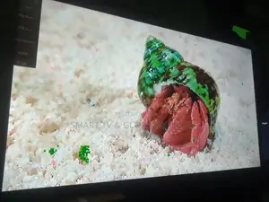 Android Smart Tv LG 43 "