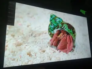 65" LG Smart TV