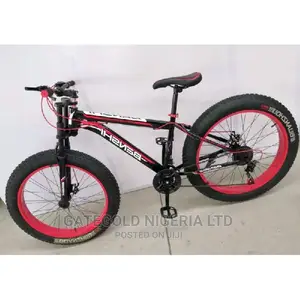 Hs26 Hongze Snow Sports Bike