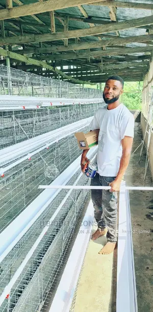 4 Tiers Battery Cage