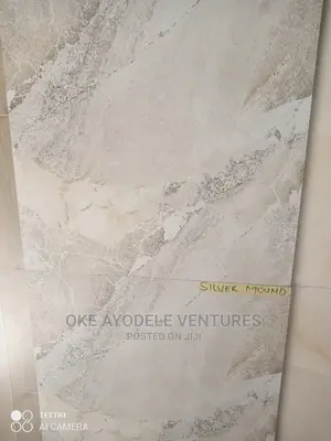 Royal Tiles at Silver Mound 60/60