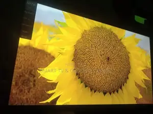 55" LG Smart Uhd TV