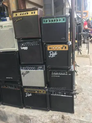Bass and Lead Guitar Combo/Amplifier