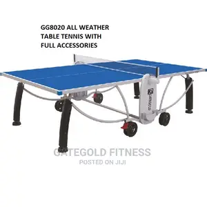 Gg8020 Professional All-weather Outdoor Table Tennis