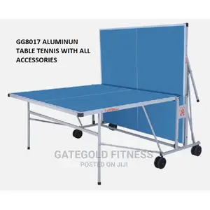 Gg8017 All-weather Outdoor Table Tennis