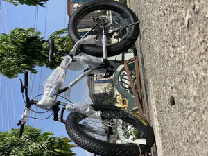 Fat Tyre Bicycle B855