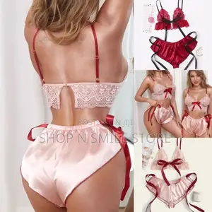 Sexy Lace and Santi Bralette and Short Lingeries Set