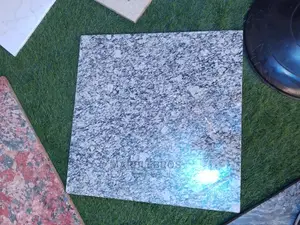 60x60 White Tiger Granite Tiles