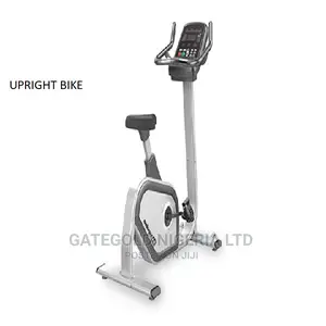 PU300 Commercial Upright Bike