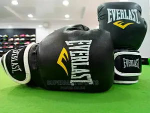 Everlast Boxing Gloves