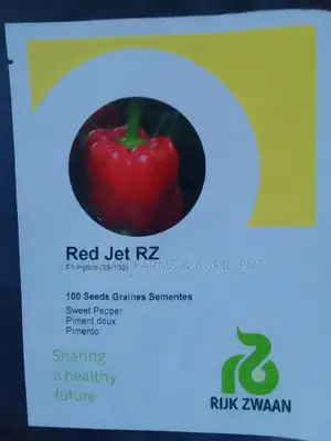 Red Jet Rz Sweet Pepper Seed