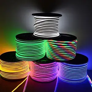 LED Neon Strip 220V