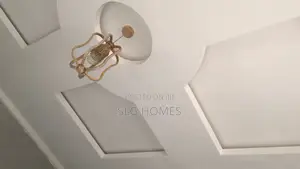 Pop Ceiling and Wall Screeding