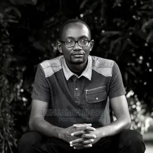 ICT Multimedia Consultant