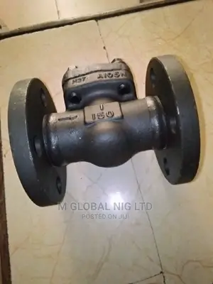 Flanged Non Return Valve
