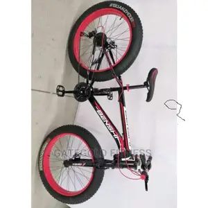 Hs26 Hongze Snow Sports Bike