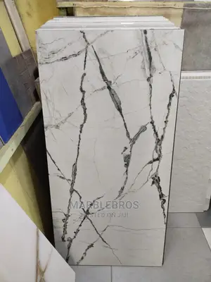 Spanish Tiles White Rose