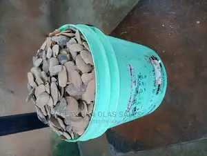 Abere Seed