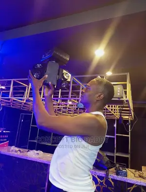 Sound and Light Engineer