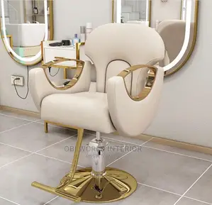 Latest Luxury Salon Chair Barber Chair