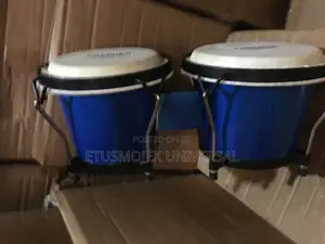 Professional DJ Bongo