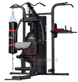 Station Gym With Bag