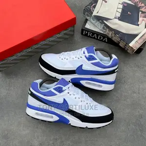 *Nike Air Max Bw Reverse Persian Violet